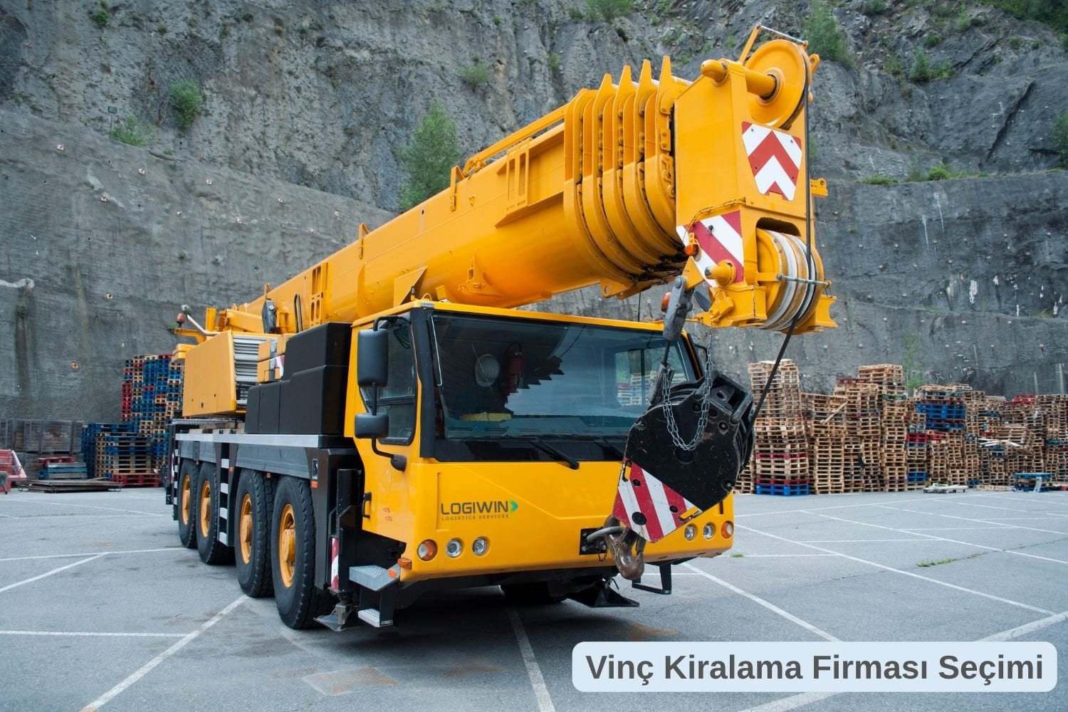 izmir vinç kiralama